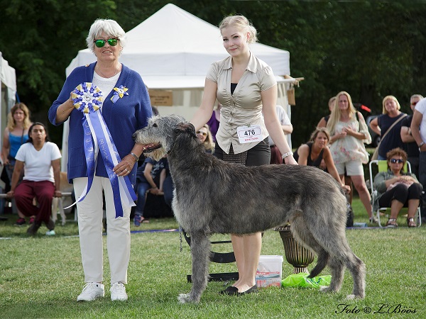 Strömsholm Svenska Vinthundsklubben 2017-07-30 Strömsholm Svenska Vinthundsklubben 2017-07-30