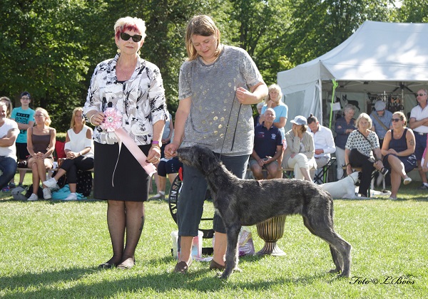 Strömsholm Svenska Vinthundsklubben 2017-07-30 Strömsholm Svenska Vinthundsklubben 2017-07-30